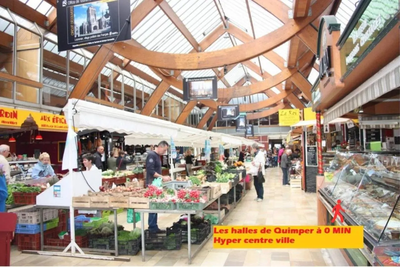 Cosy Appartement Hyper Centre-Ville Quimper Francia
