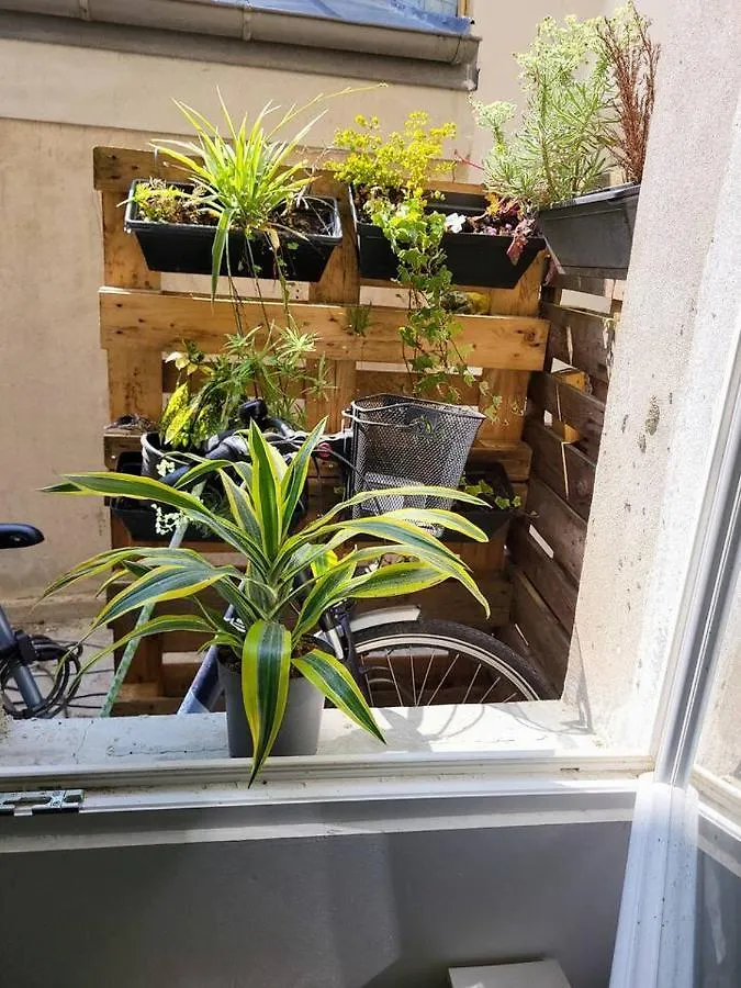 Cosy Appartement Hyper Centre-Ville Κεμπέρ